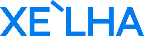company logo 7